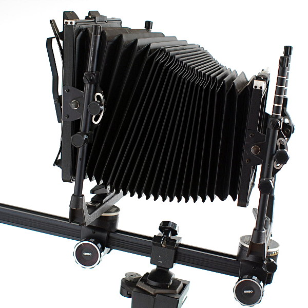 cambo_6771.jpg