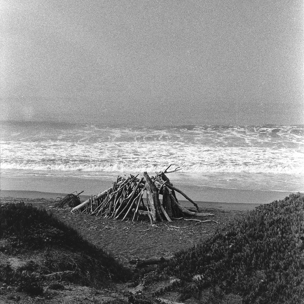 Cambria Driftwood013 copy.jpg