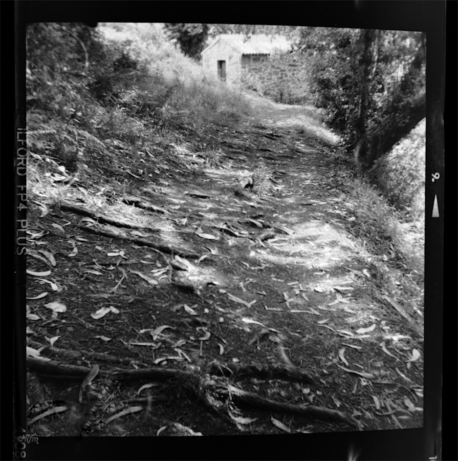 camino_al_molino_[Ilford_FP4_120]-2.jpg