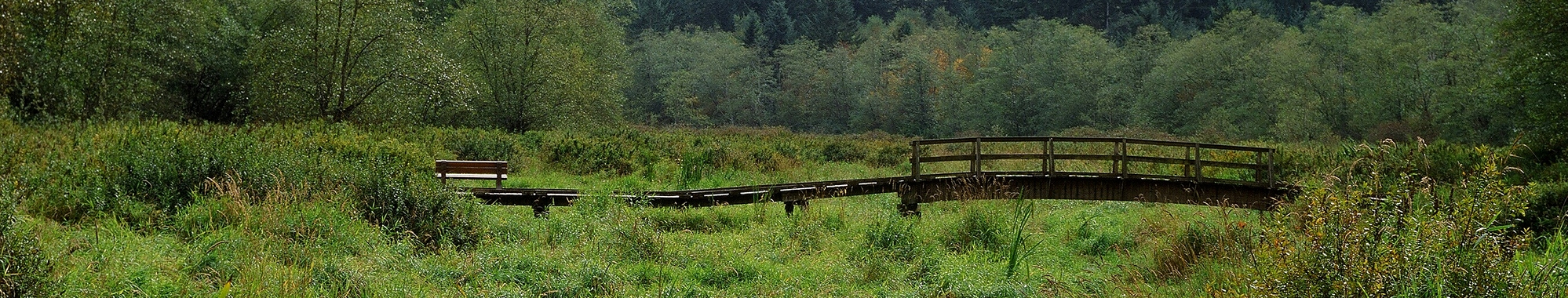 Campbell pano-08f-2012-10-02.jpg