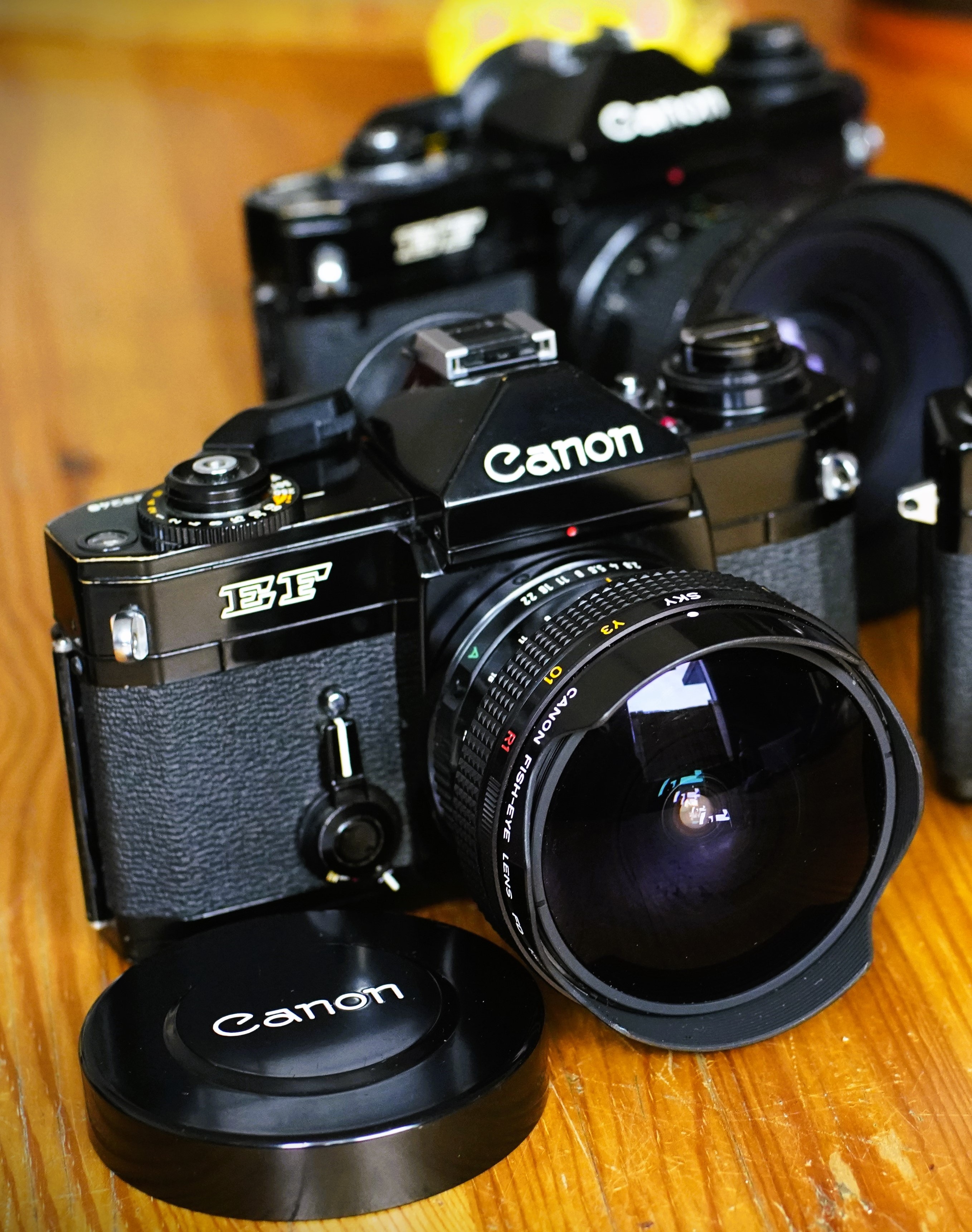 Canon EF with FD 15mm.JPG