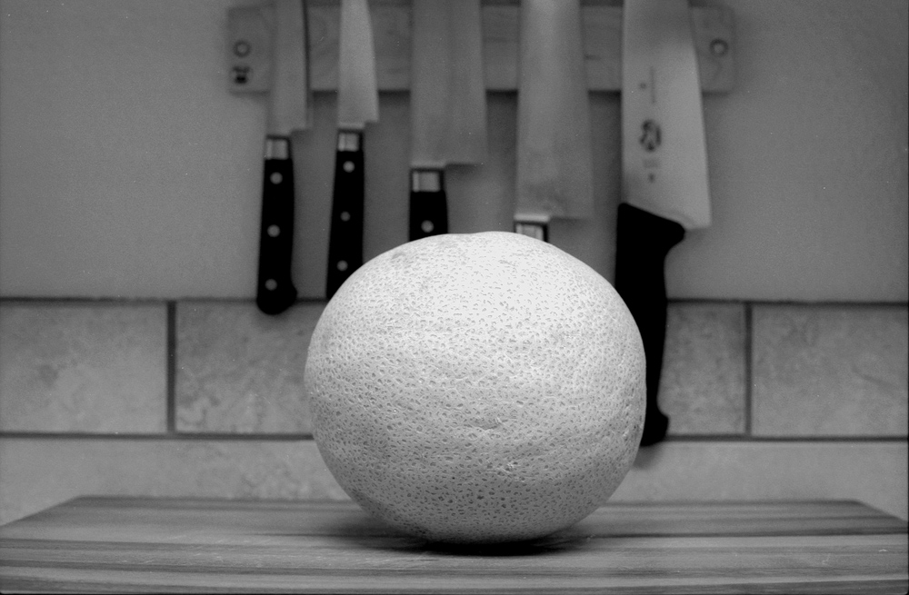 Canon F1 expired TMax 100 catalope.jpg