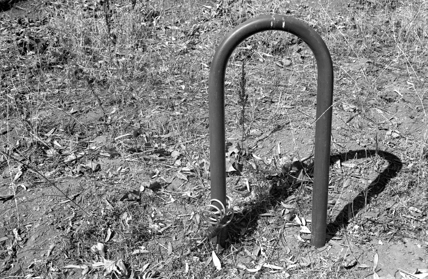 Canon P Film Ferrania at 40iso Pyrocat HD bike rack1.jpg