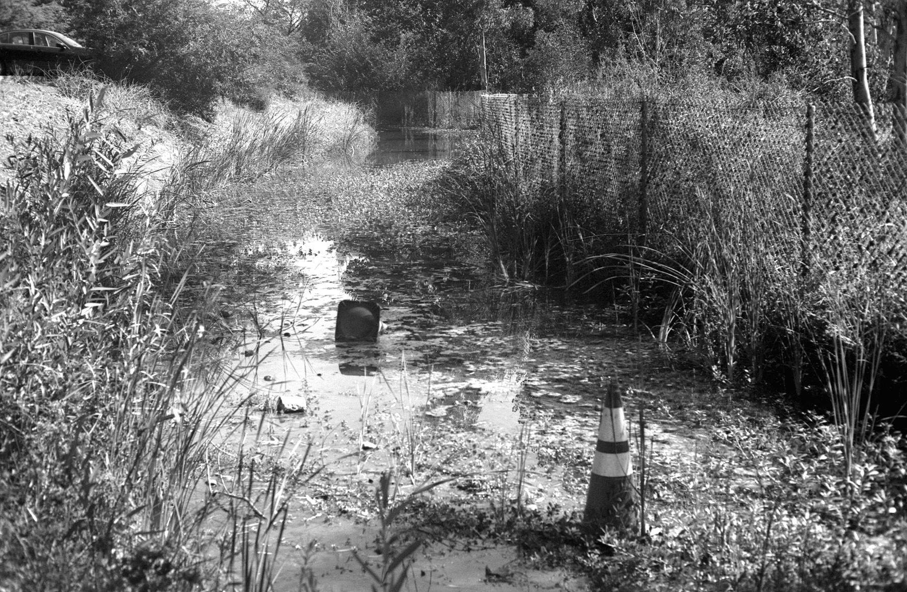 Canon P Film Ferrania at 40iso Pyrocat HD flooded trail.jpg
