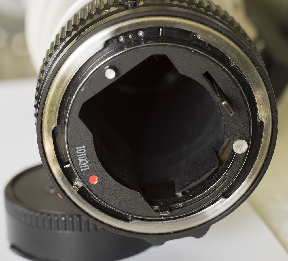 CANON500MM4.5L-8.jpg