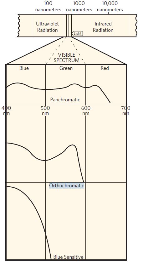 Capture black and white spectral response curves.JPG