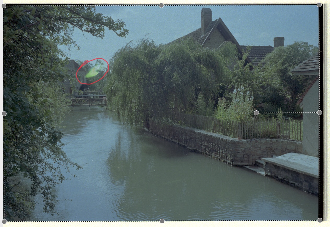 Capture d’écran 2024-07-20 à 14.43.11.jpeg