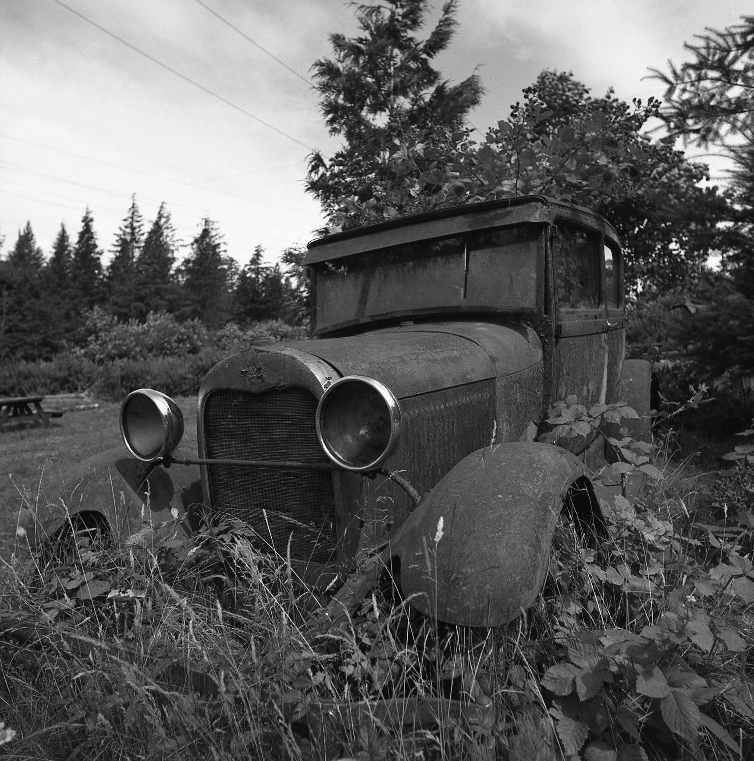 CarAtShannonFalss004.jpg