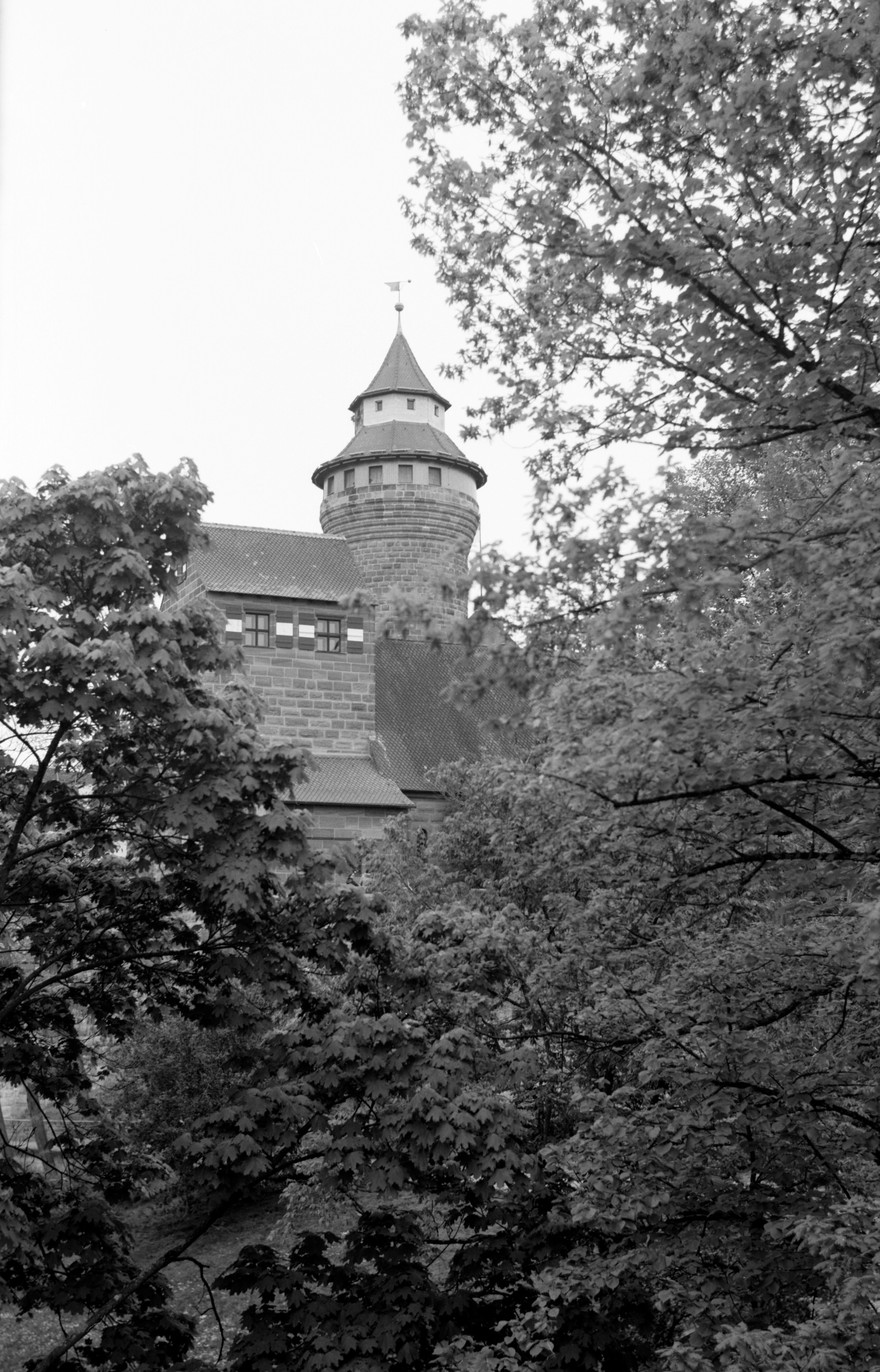 castle copy-1.jpg