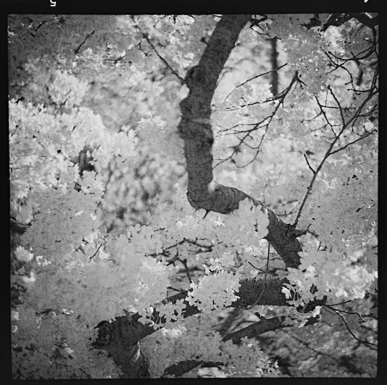 CDE56A8C-3009-4E94-B0E5-1BA721A9FAF0.jpeg