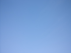 CF067855.jpg