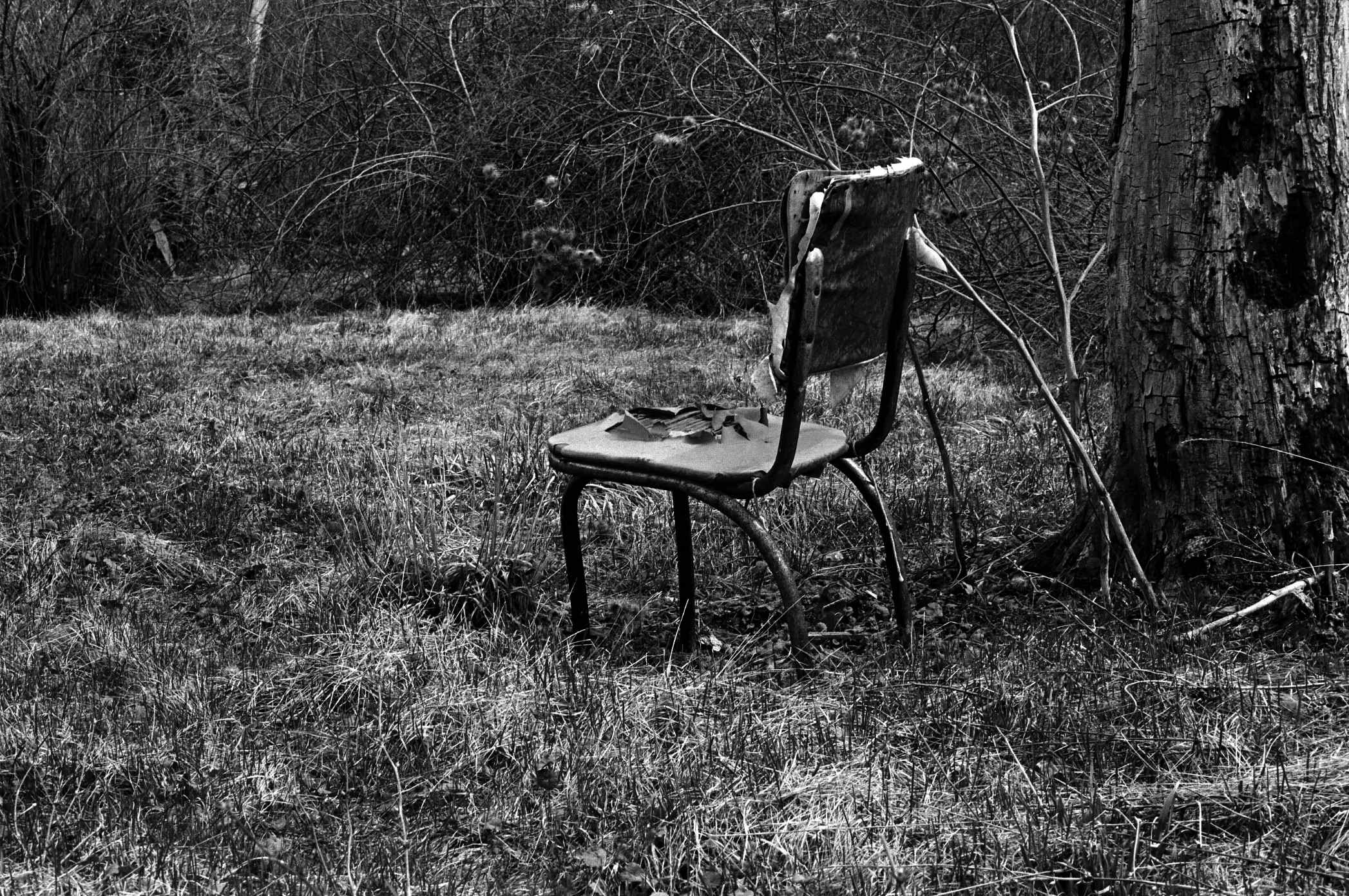 chair.jpg