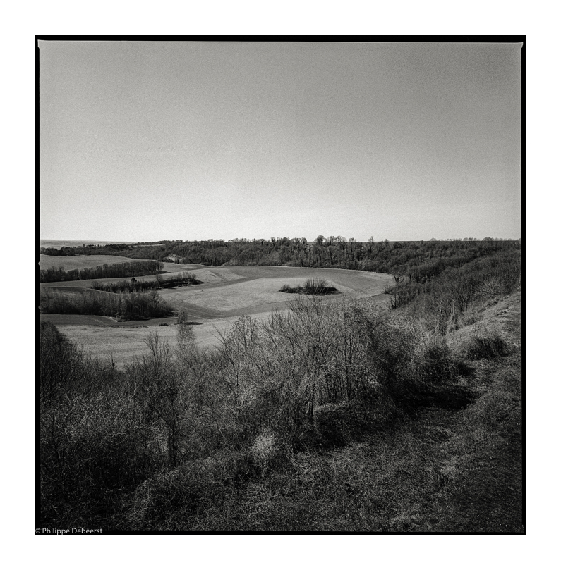 CHEMIN DES DAMES 2.JPG