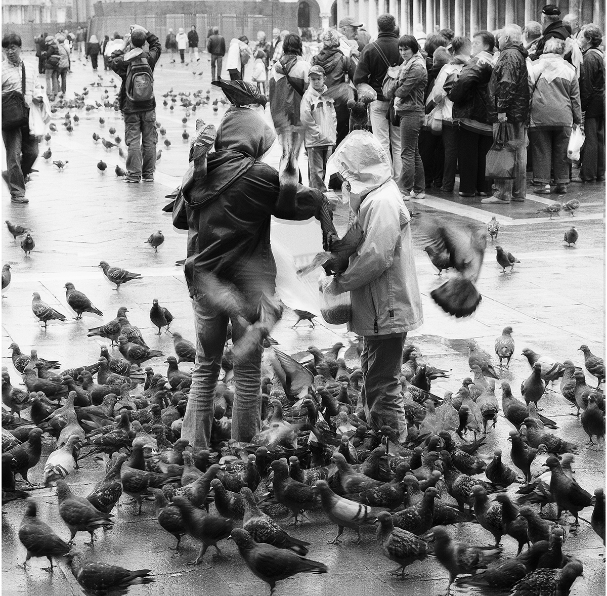 children-feeding-pigeons.jpg