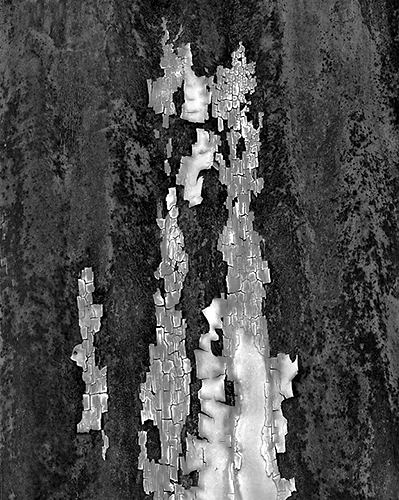 Chipped Paint, AZ b.jpg