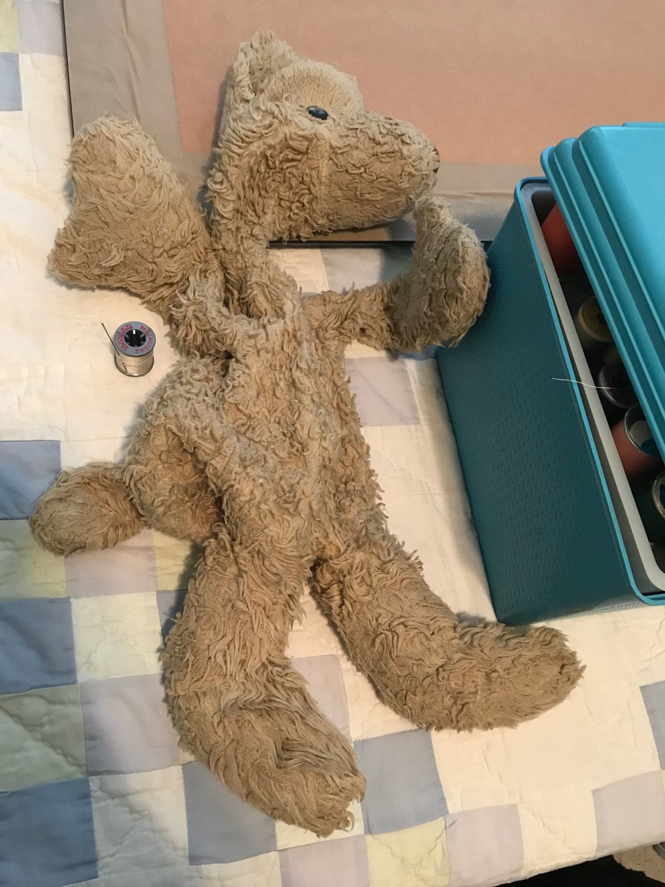 Chris' Puppy awaiting surgery.jpg