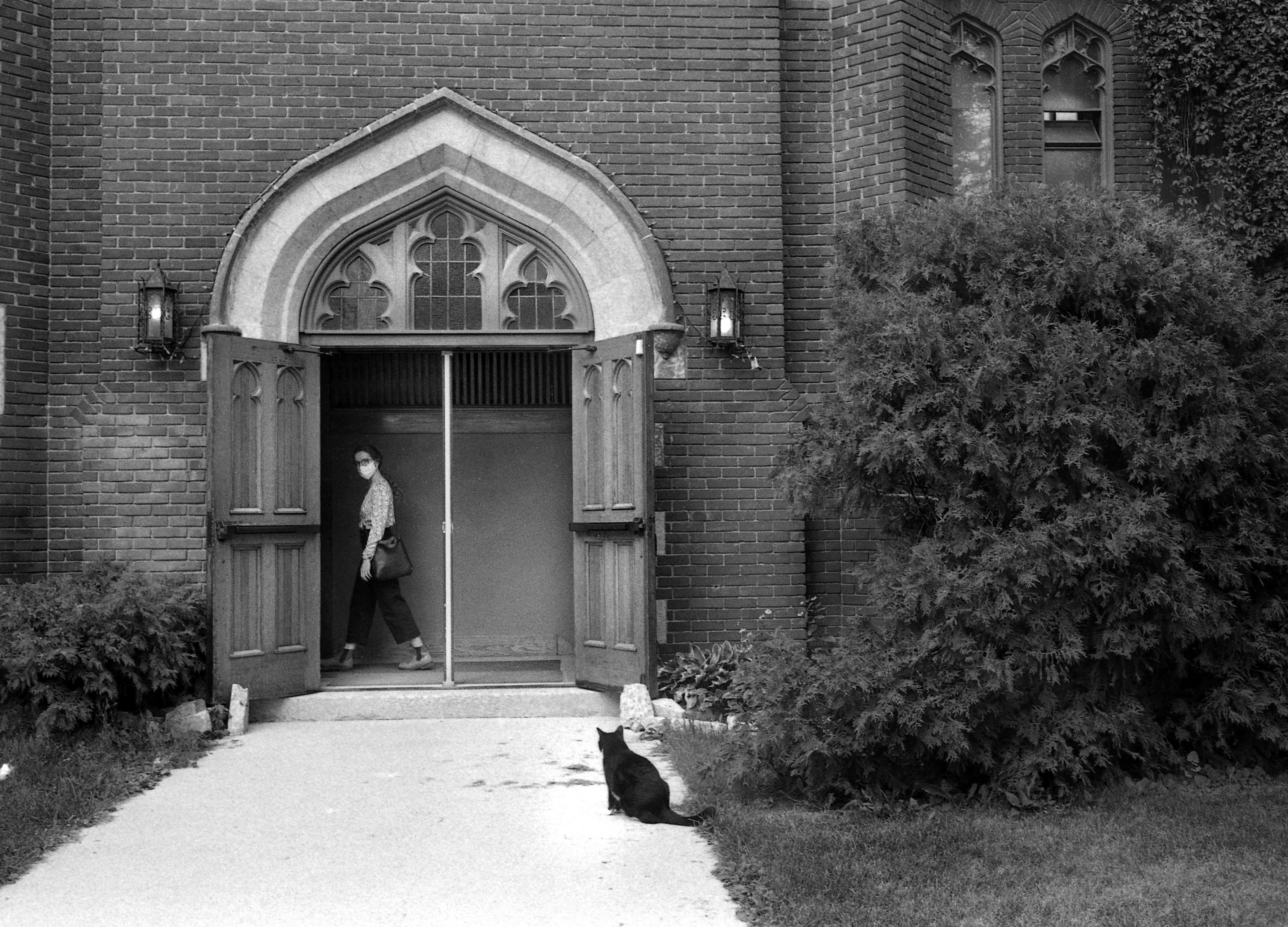 Church Cat.jpg