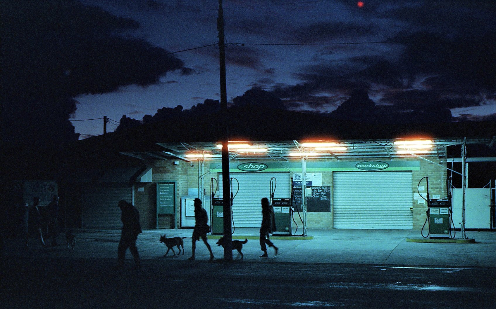 cinestill 800154 (2).jpg