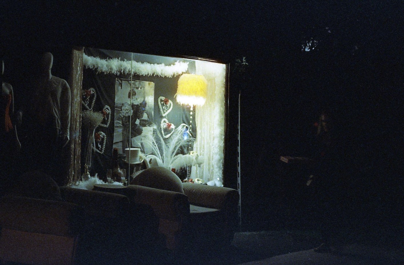 cinestill 800158 (2).jpg