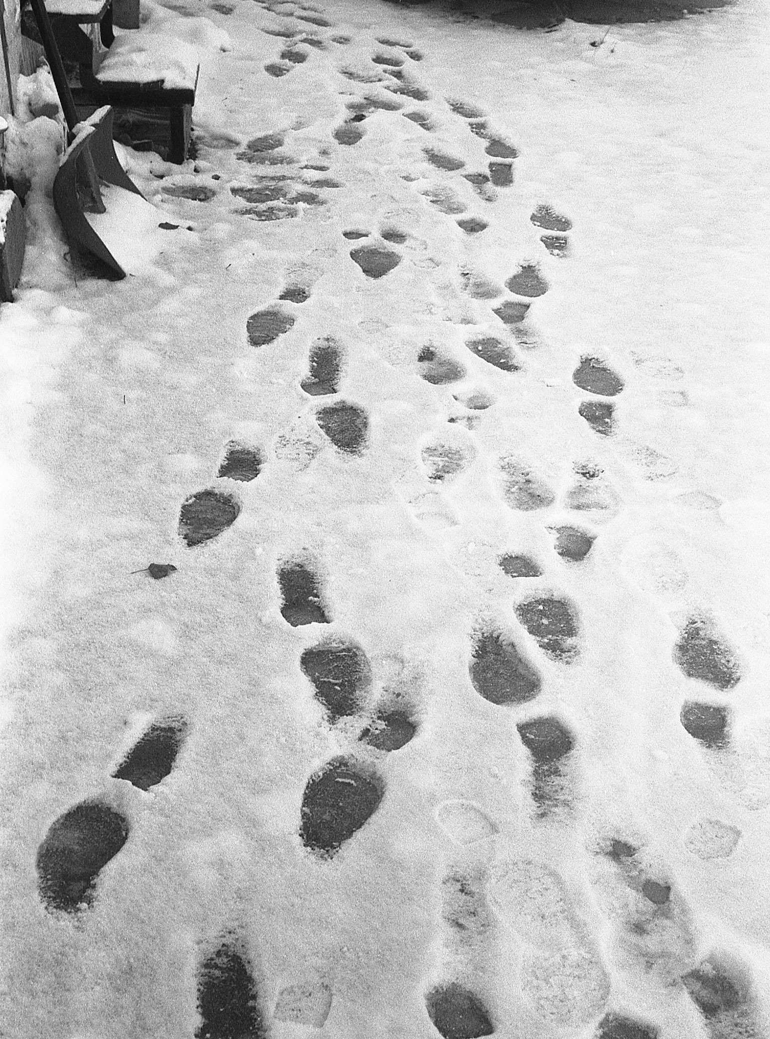CLab320-tracks.jpg