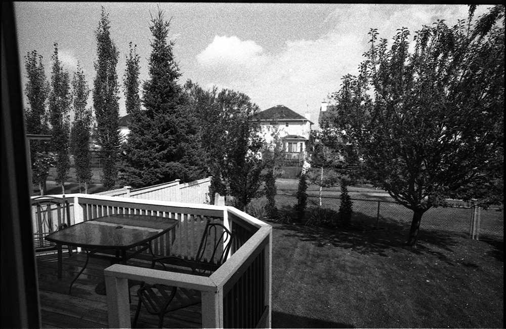 Classic Pan 400 backyard.jpg