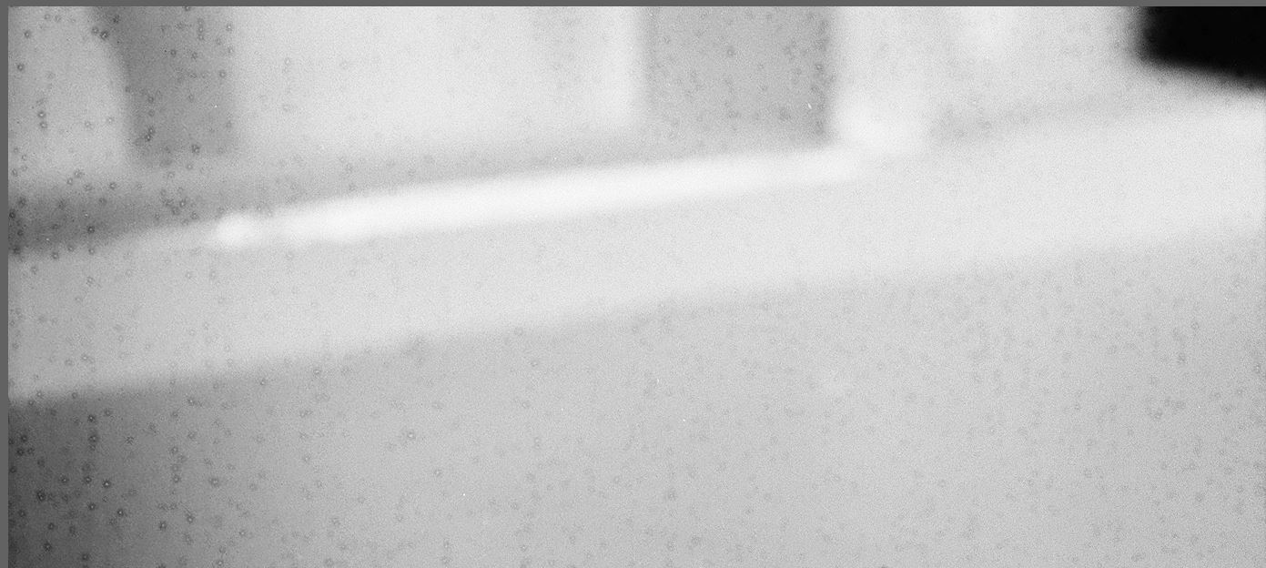 CLose-Up-01.JPG