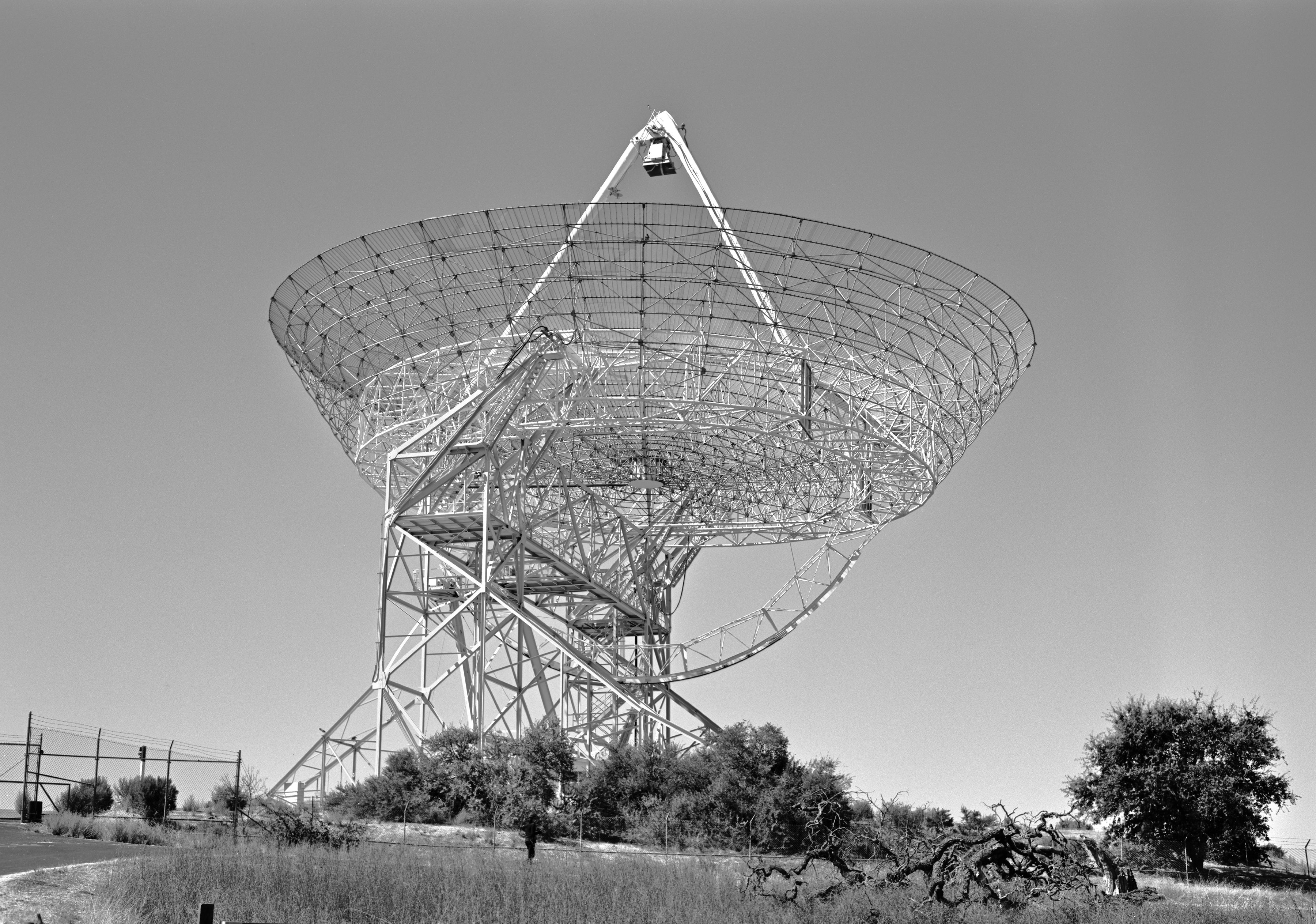 cms 01 dish.jpg
