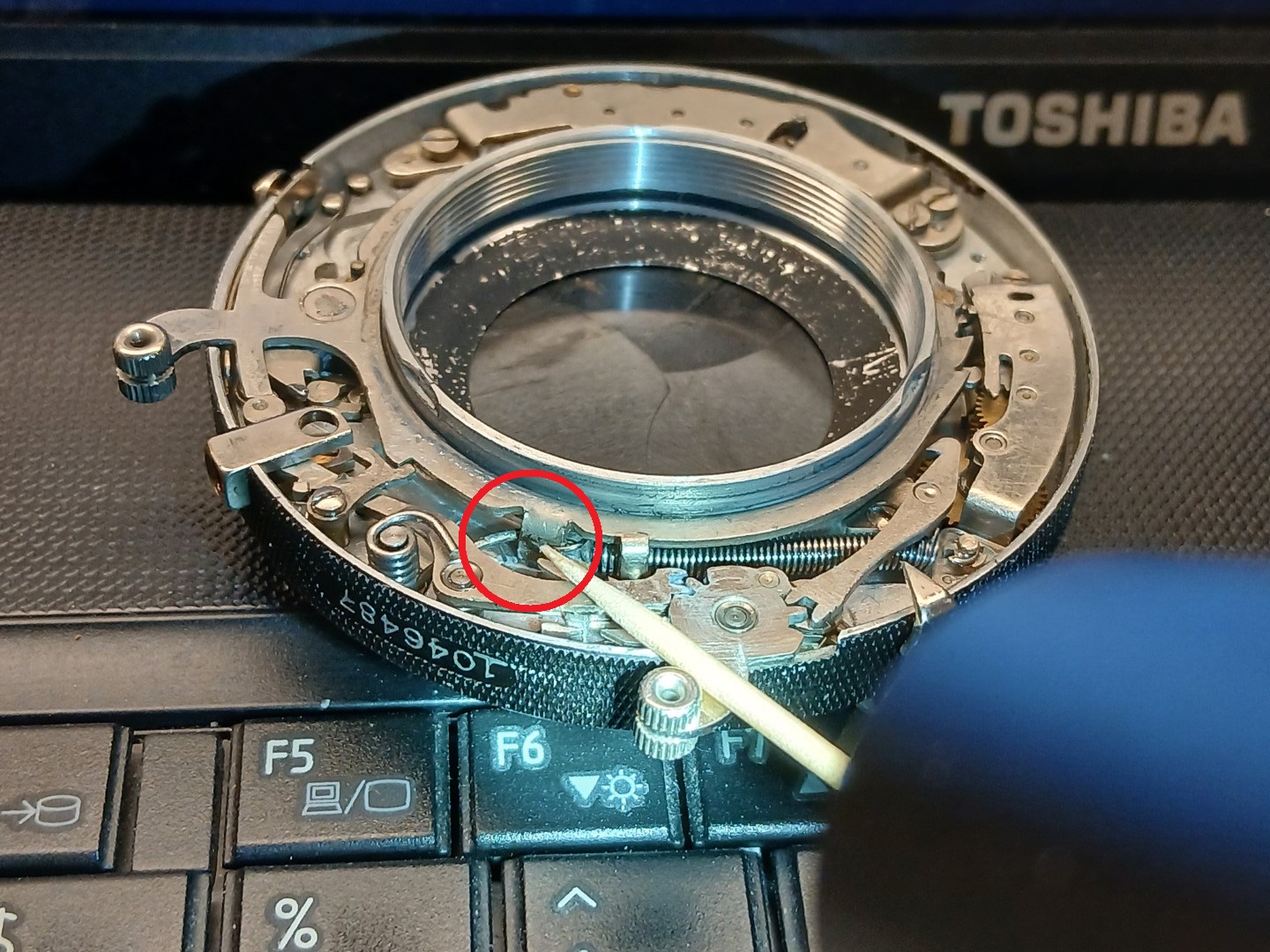 cockring engagement.jpg