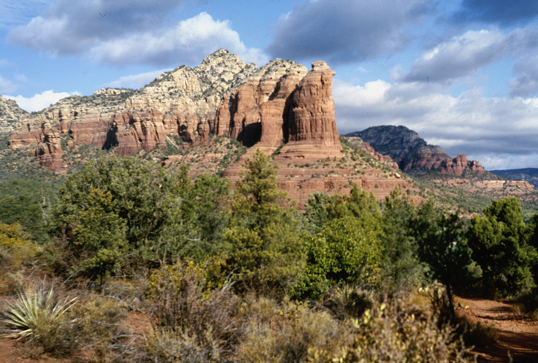 CoffeePot _edited-1.jpg