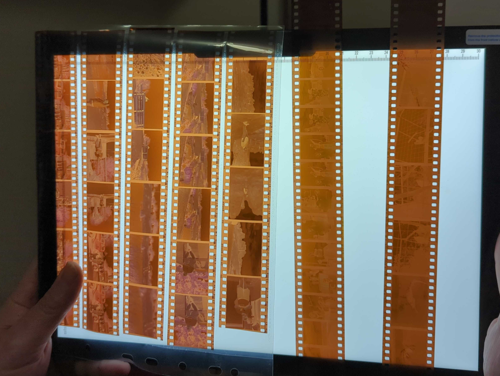 Color-Negatives-1.jpg