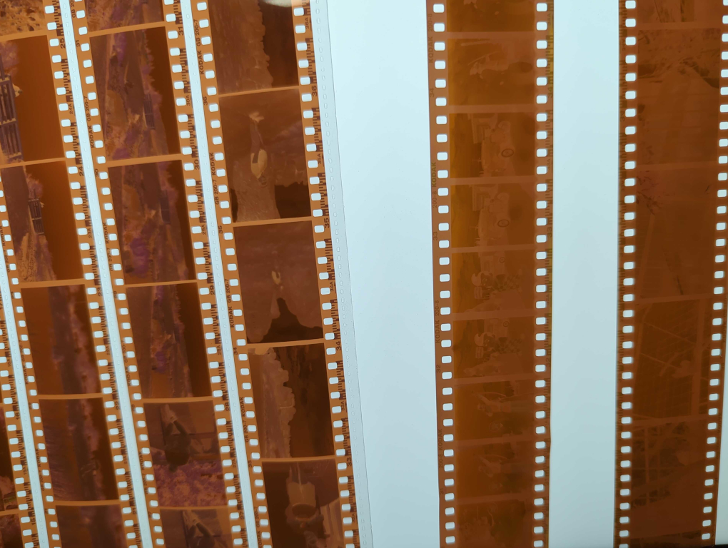 Color-Negatives-2.jpg