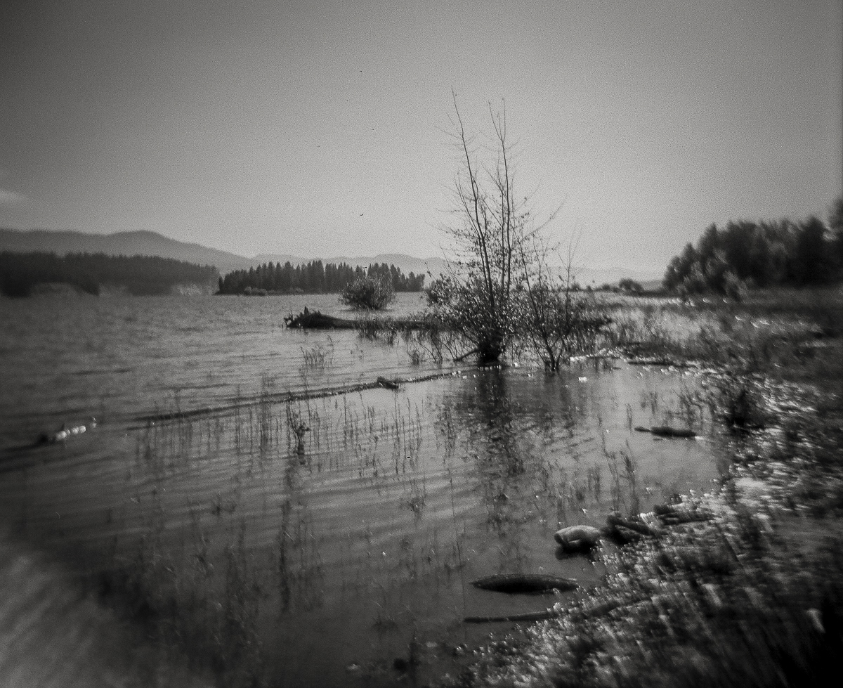 Columbia River Slough 2.jpg