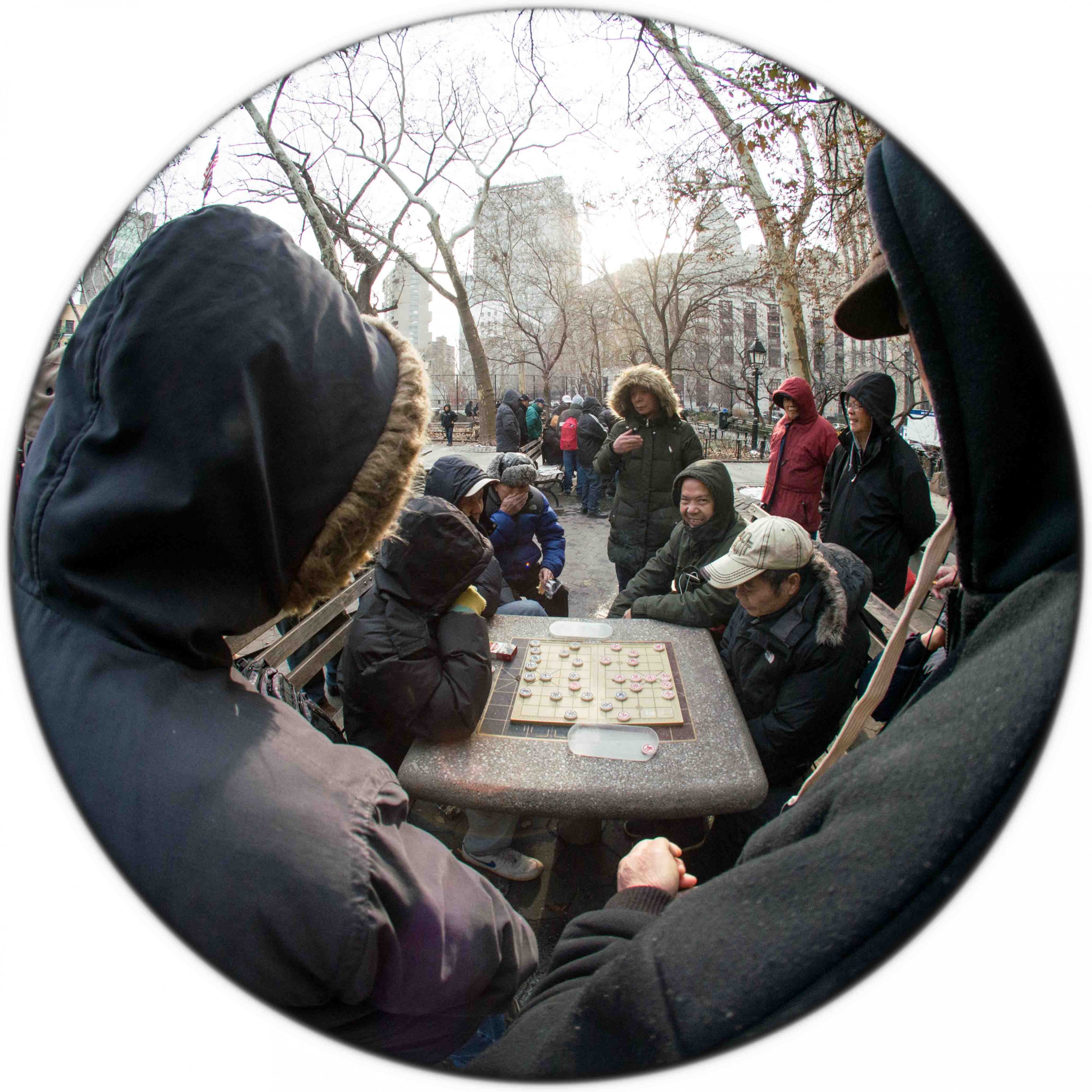 Columbus Park NYC. D.D. Teoli Jr. (1).jpg