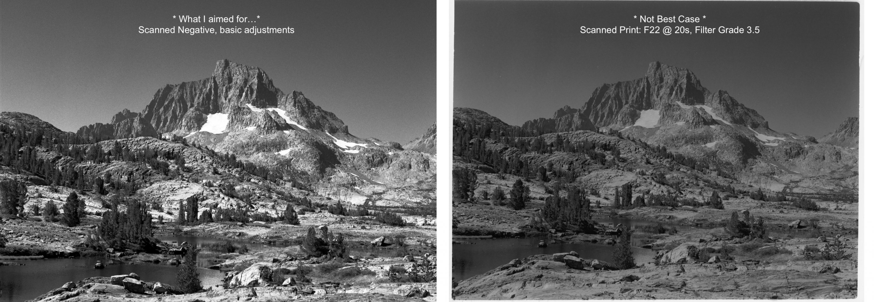 Comparison 1.jpg