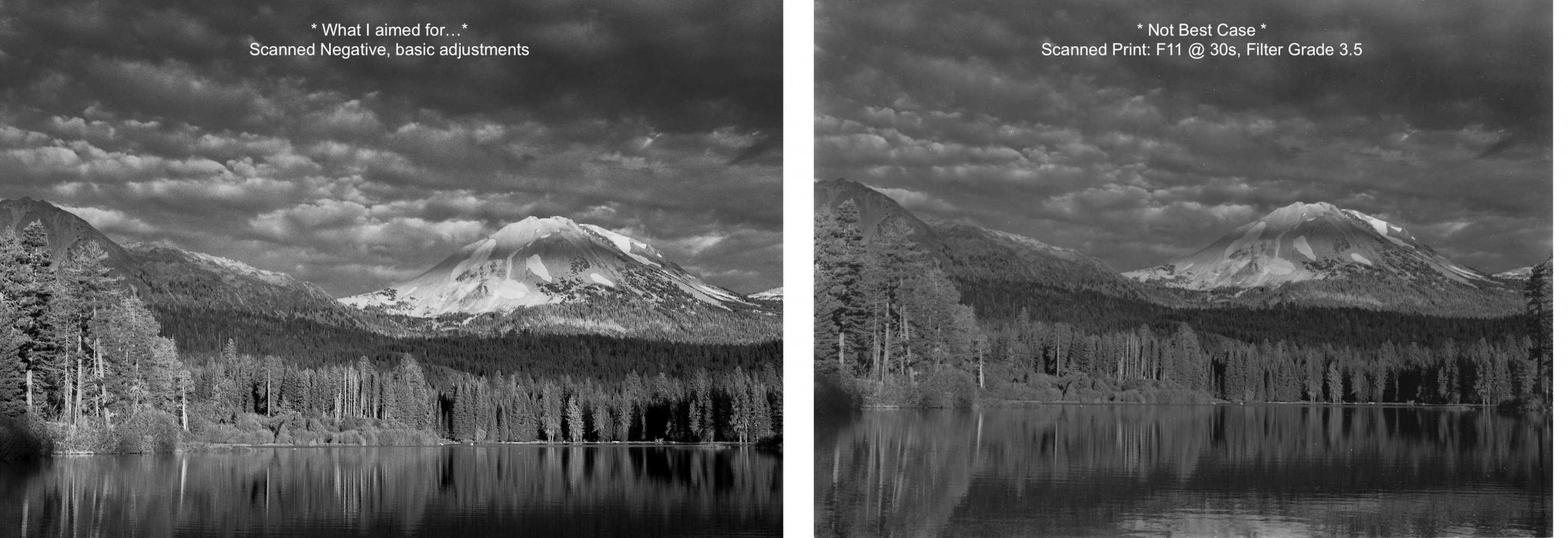 Comparison 2.jpg