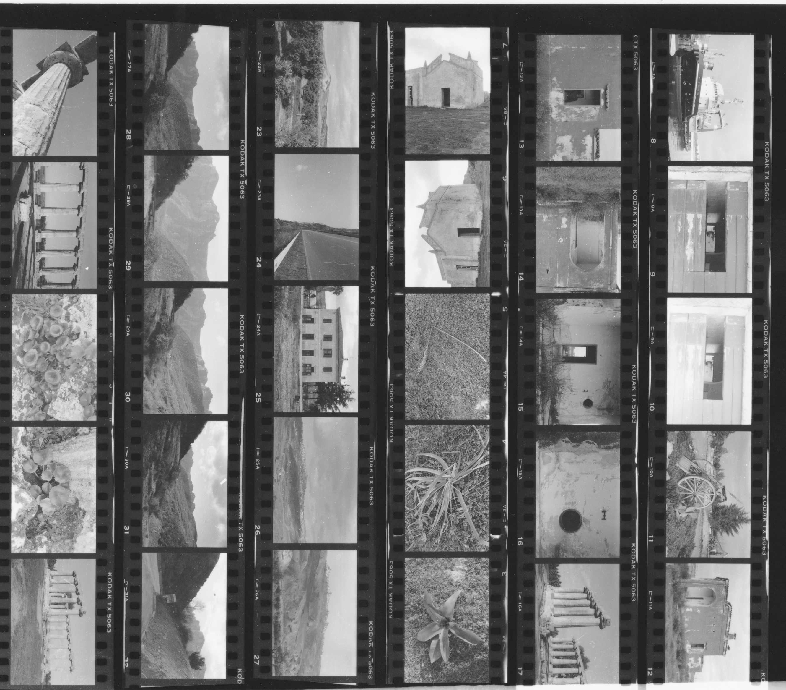Contact sheet, italy 1981 .jpg
