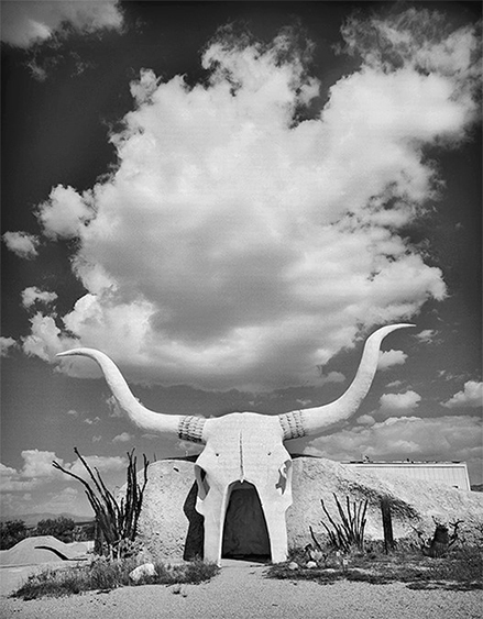 Cow Skull AZ (7).jpg
