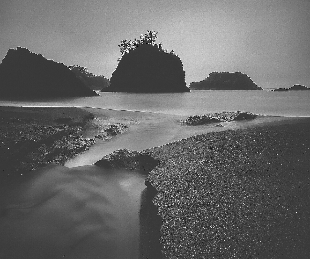 Creek To Sea.jpg