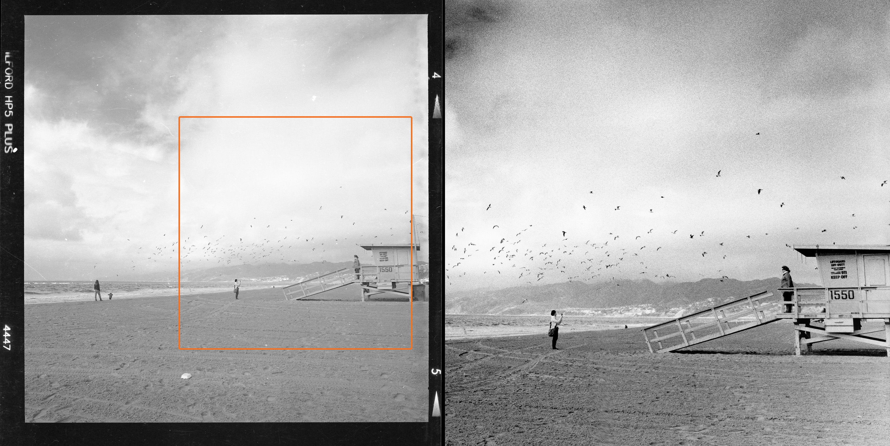Crop example.jpg