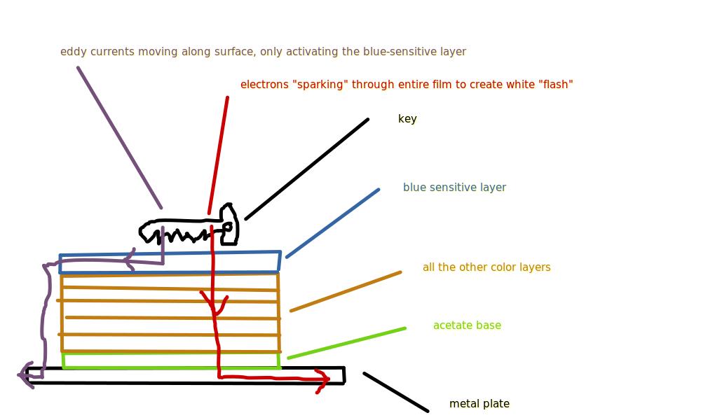 cross-section.jpg