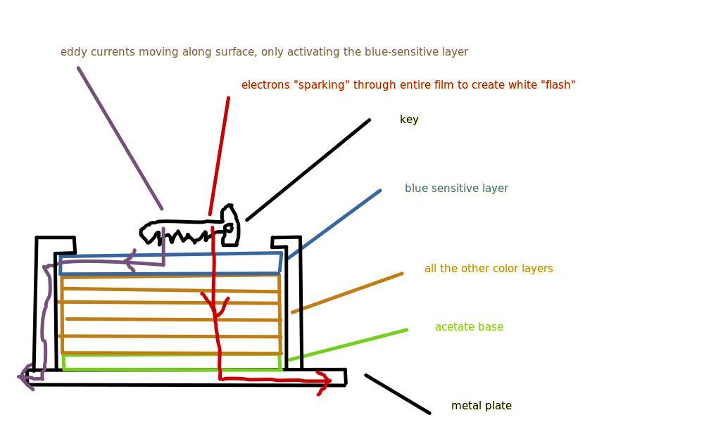 cross section with film holders.jpg