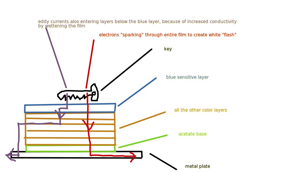 cross-section2.jpg