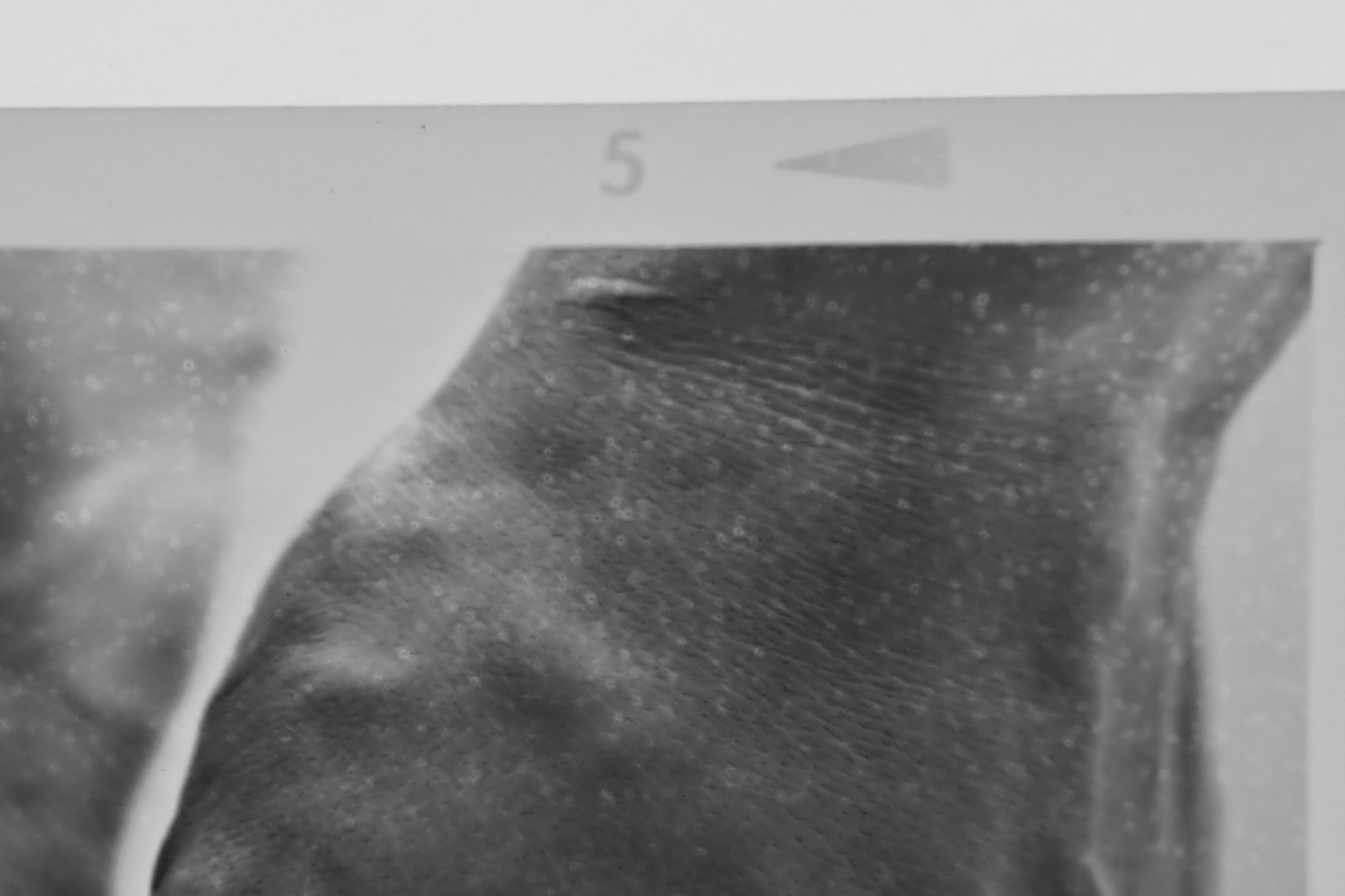 CU-3.jpg