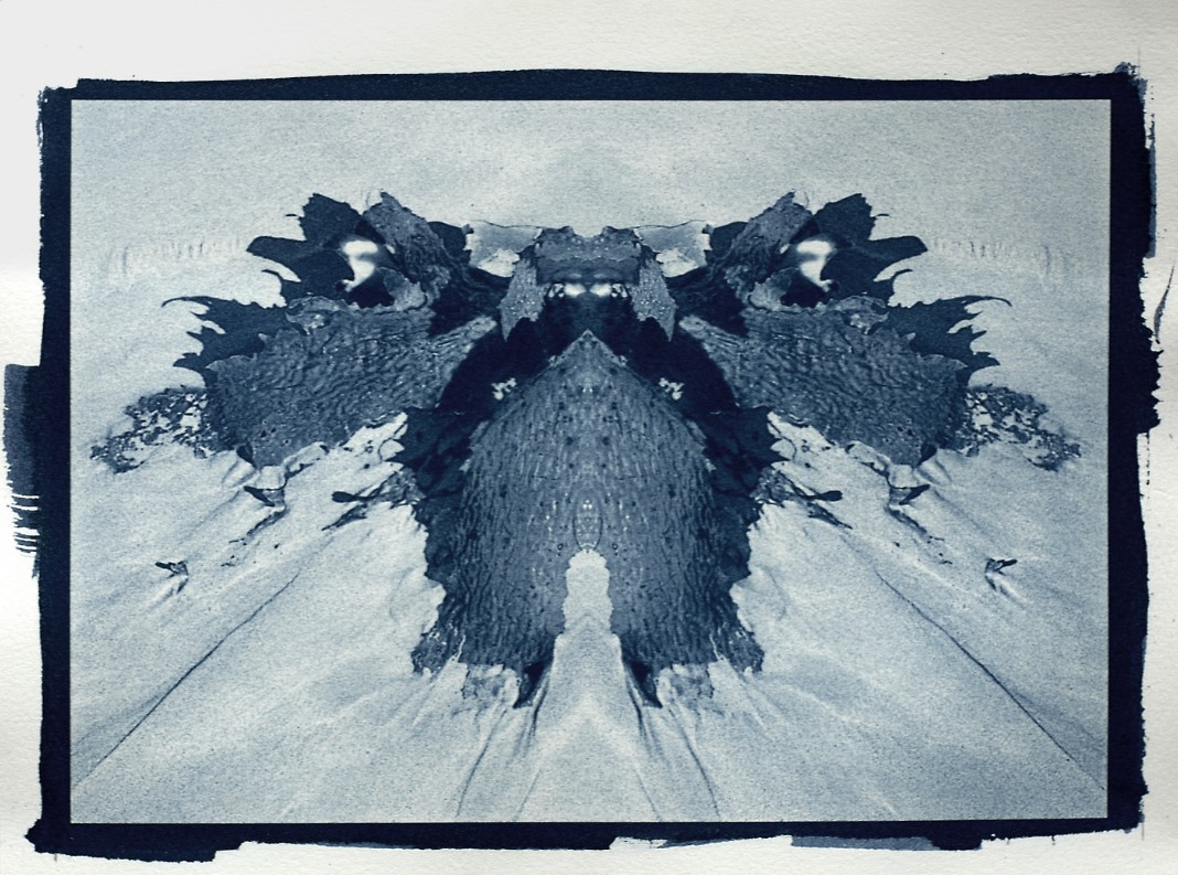 Cyanotype Final Print.jpg