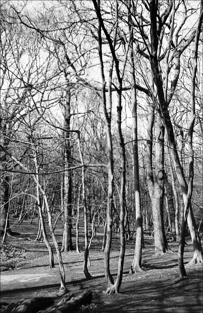 D2103_F006.jpg