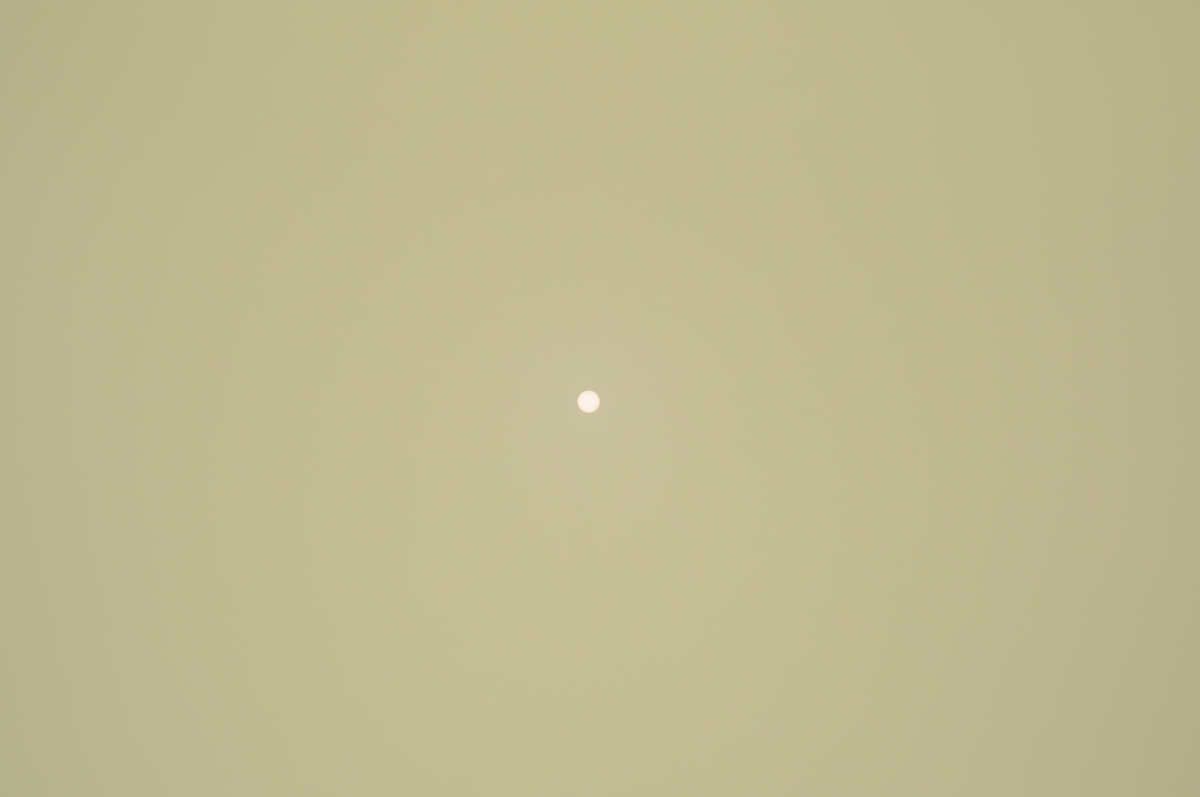 D300_01000DSC_0468.jpg