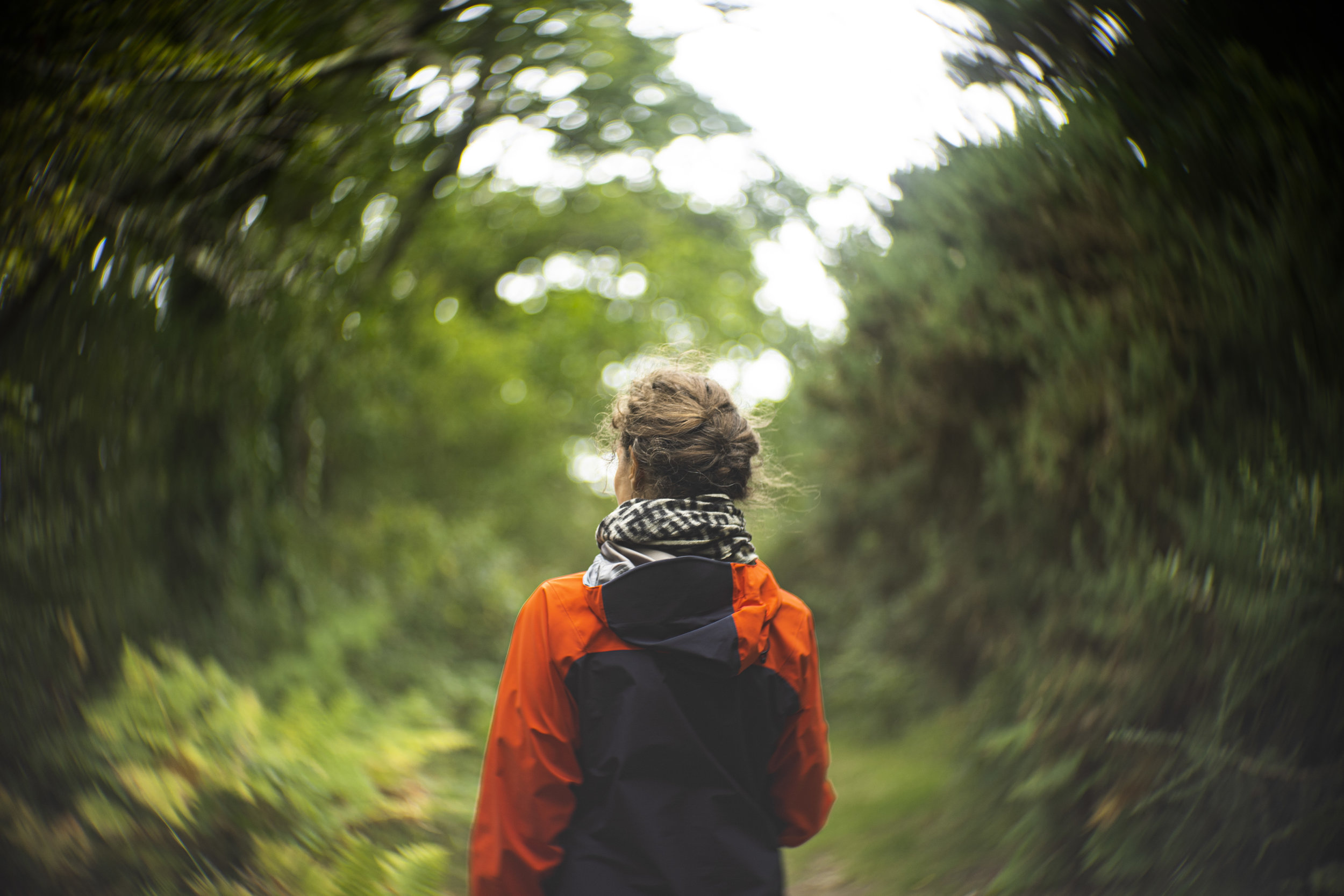 D7933585-12BF-4519-8F54-8E5C24BBEC21.jpeg