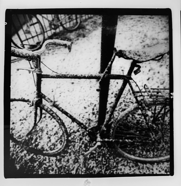D7B7FD37-F457-48C4-BC0A-468F57398055.jpeg