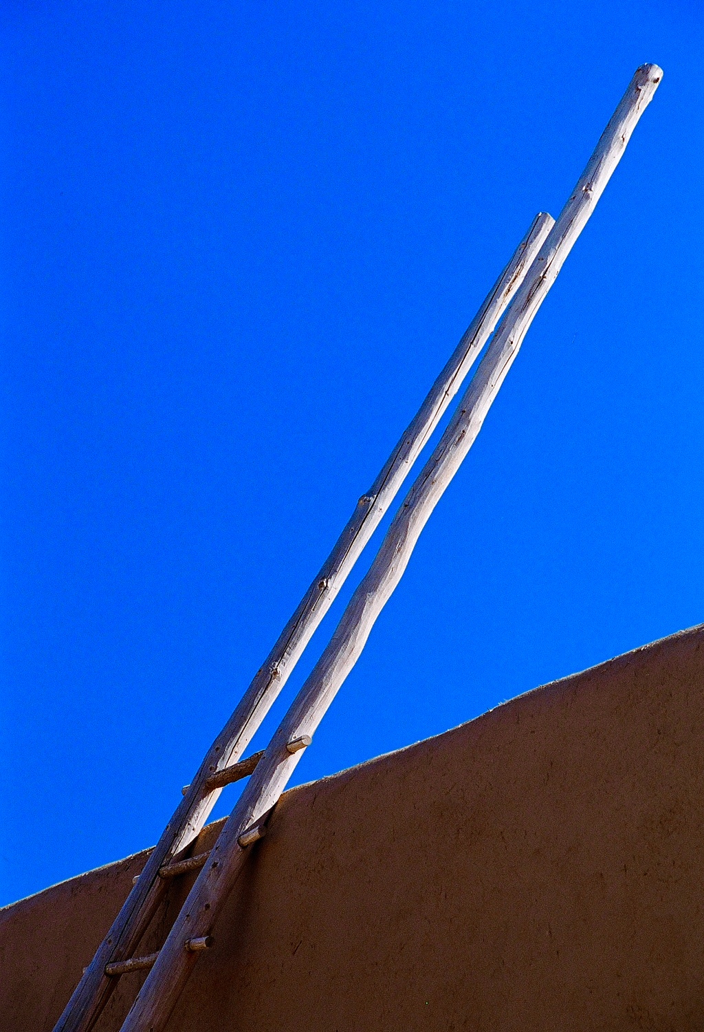 D9BA1E2E-F443-458E-8B6A-B56EC2CC815E.jpeg