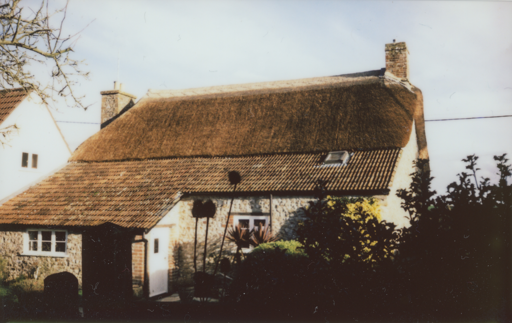 Dairy Cottage 3-Feb-21 Instax.jpg